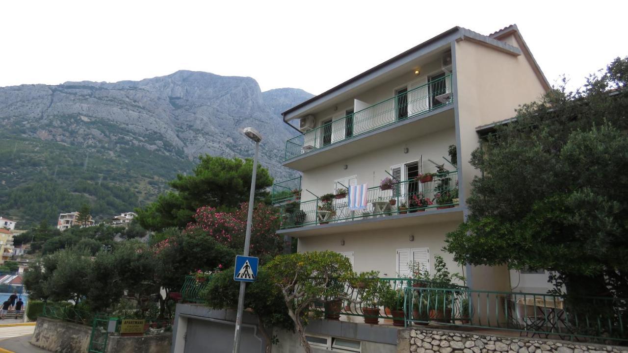 Appartement Caleta